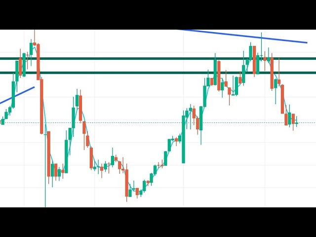 live tredain nifty   29 nov