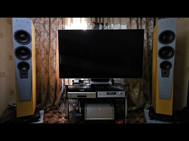 Dynaudio Contour S5.4 + Parasound A21 + Holo Audio Spring 3 KTE + Kalin Cables Reference.