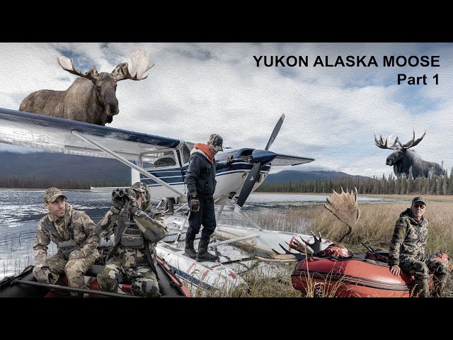 Alaska-Yukon Moose in the Rut Part 1 of 2 | Greg McHale's Wild Yukon