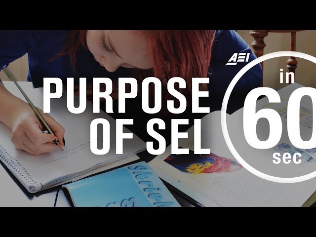 SEL should be about kids, not adult agendas | IN 60 SECONDS