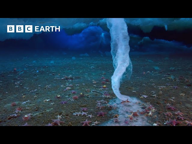 The 'Finger of Death' that Freezes Everything it Touches | Earth's Great Seasons | BBC Earth