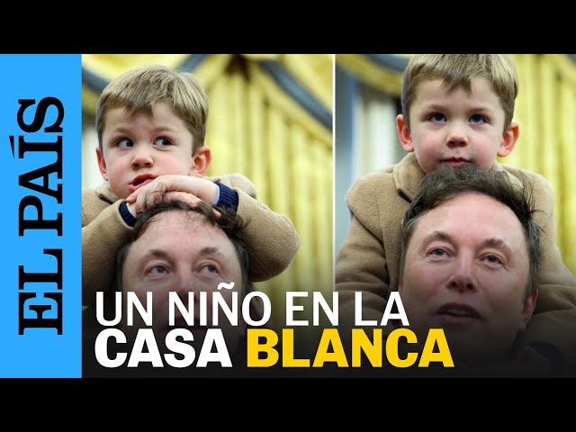 Los gestos del hijo de Elon Musk en su anuncio con Trump en la Casa Blanca | EL PAÍS