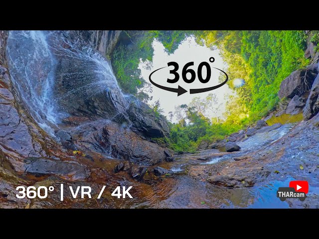 360° Waterfall Experience: Immersive Nature Adventure!