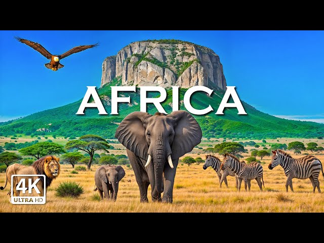 African Safari 4K 🐾 Explore a Relaxing Wildlife Film with Soothing Piano Music