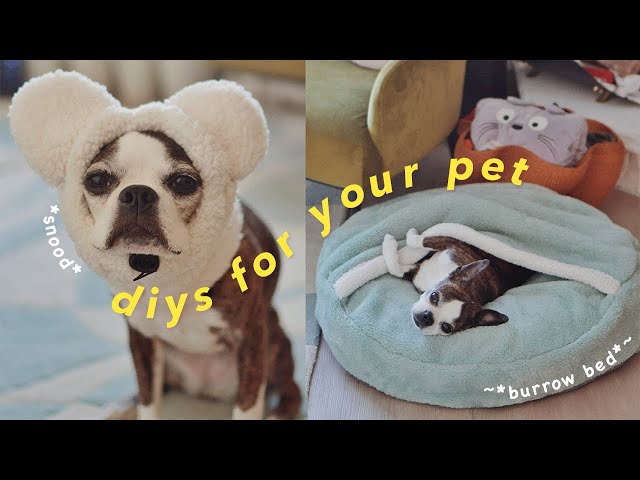 DIYs for your Dog - Ear Warmer Snood & Pet Cave Snuggle Blanket Bed