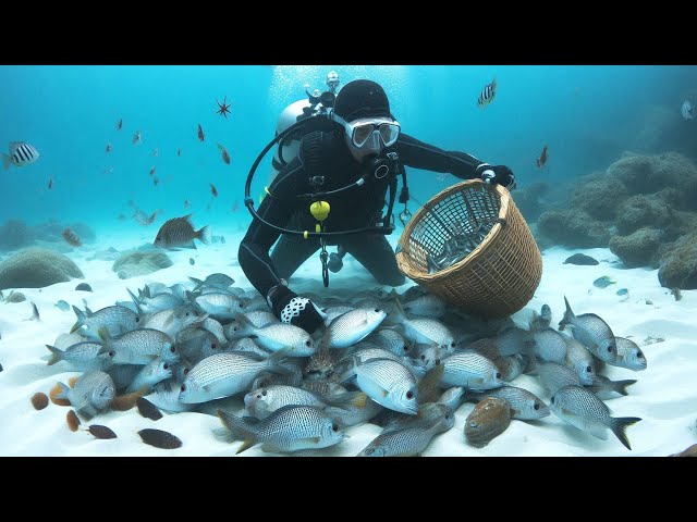 (Part09) Diving and Catching Every Deep Sea Animal!! - 수중 모험!! #adventure #다이빙기술 #어업