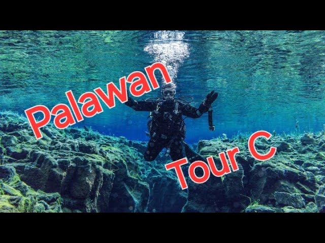 360VR Dive into Pinagbuyutan Island: A Must-See Underwater Wonderland Part 9/16