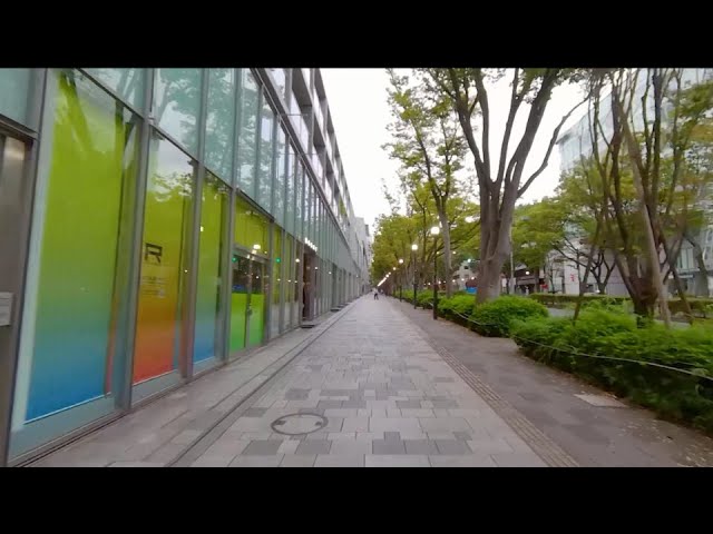 《360° VR》Early Morning Walk in Omotesando, Tokyo, Japan / 東京・表参道の早朝散歩