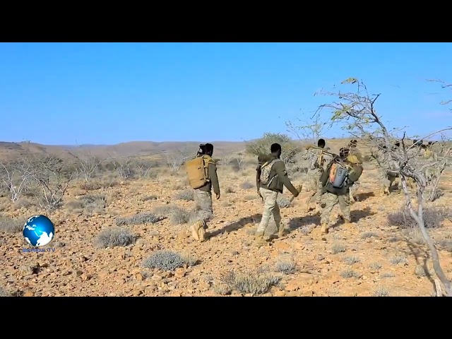 Ciidanka Difaaca Puntland ayaa maalintii labaad hawgal ka dhan ah Daacish ka wada Buuraha.