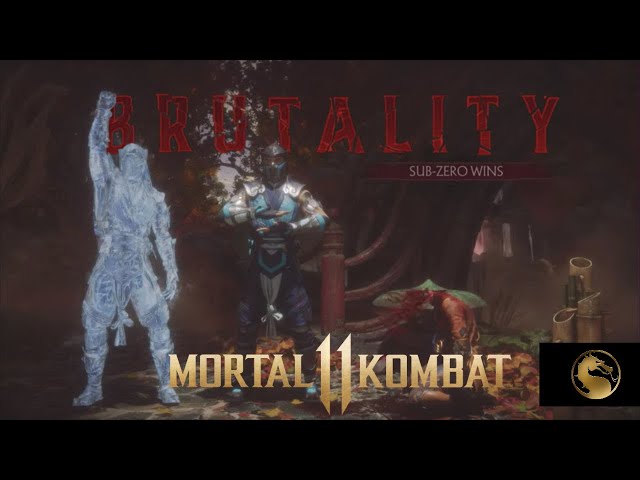 Mortal Kombat's 11 Minutes Game Play - Mastering the Mortal Kombat's Fatalities