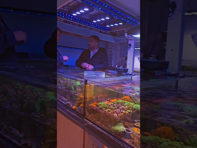 AQUATIC EMPORIUM | LONDON'S AMAZING CORAL SHOP