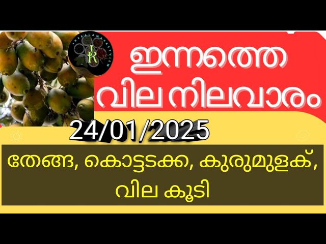 കാപ്പി പരിപ്പ് ഉണ്ട കാപ്പി വില കൂടി | Rubber prices remain unchanged in Kerala today