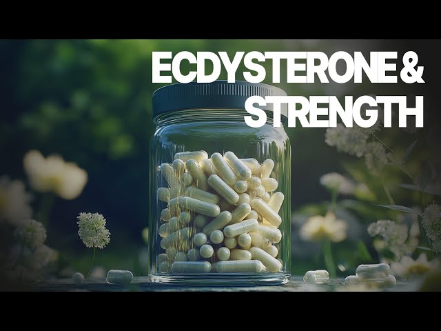 The Effects of Ecdysterone: Miracle Muscle Builder or Just Hype?