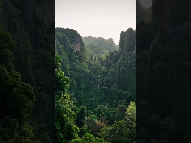 Jungle mountains Phitsanulok, Thailand #shorts #travel #amazing #mountains #view #nature