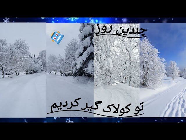 زمستان زیبای مازندران شیرگاه