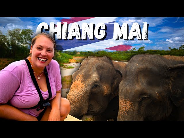 Best day trip from Chiang Mai! (w/Free elephant experience!)