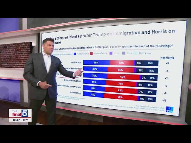 New polling shows voters' vibes on Harris, Trump, and the issues