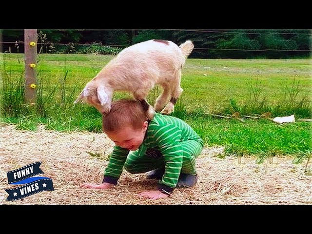 15 Minutes of HILARIOUS Babies Playing With Animals | Funny Baby Videos | Funny Vines