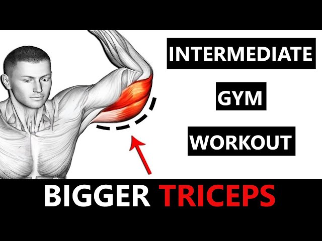 INTERMEDIATE TRICEPS WORKOUT  MUSCLE BUILDING WORKOUT  CABLE TRICEP WORKOUT