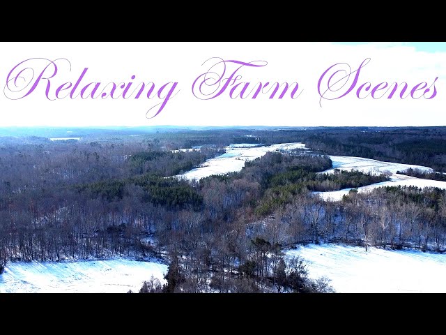 Relaxing Farm Scenes set to Classical music (time lapse and drone footage) #79