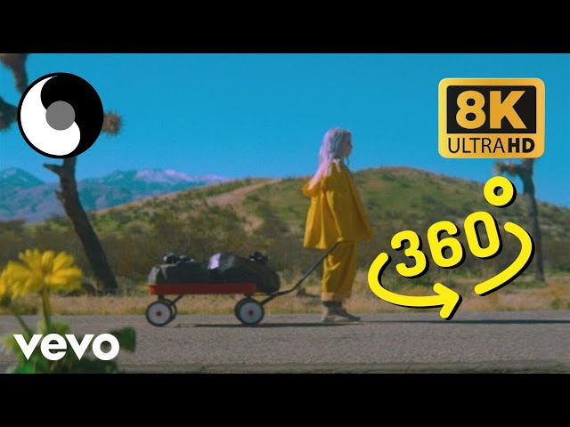 Billie Eilish - Bellyache (360 & VR 8K Video)