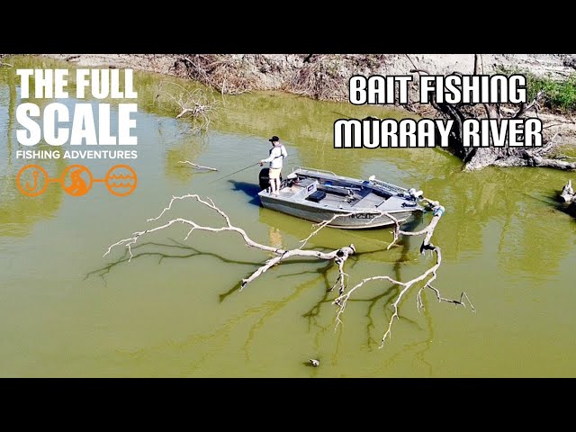 Bait Fishing Murray River | The Full Scale