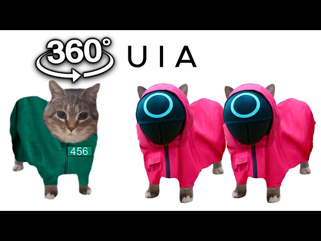 360º VR OIIAOIIA CAT x Mingle Game Song / Uia Cat x Squid Game 2 | OIIAOIIA Cat in Squid Game 2