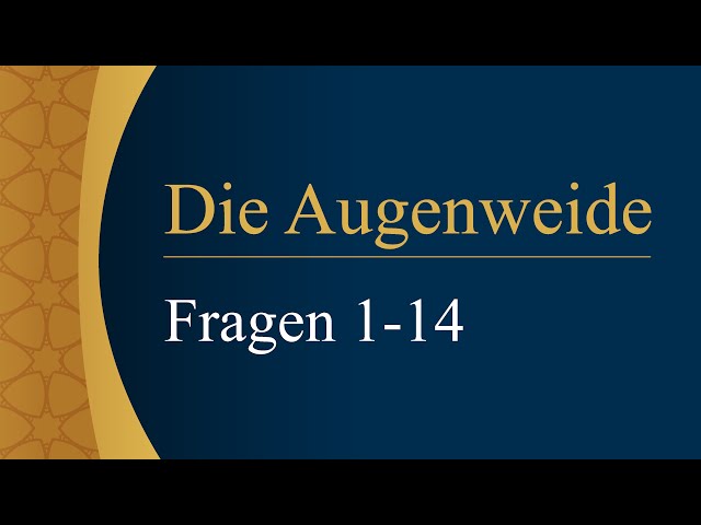 Die Augenweide - Fragen 1-14