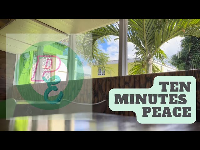 Tropical Bar and Grill Ambiance [10 Minutes Peace]