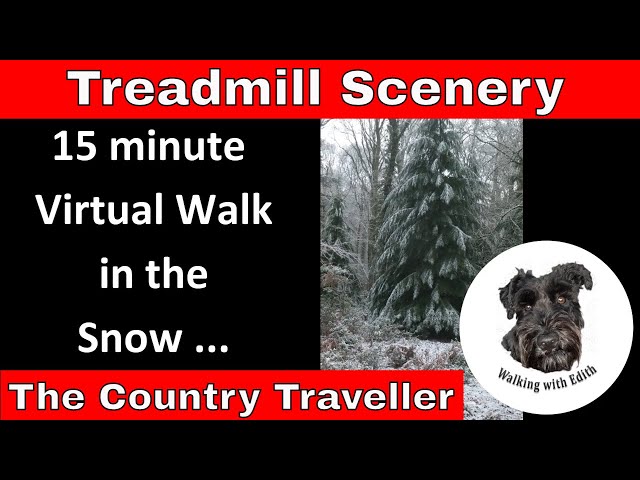 15 minute January Virtual Walk in the snow - Treadmill Scenery - exercise at home 😀