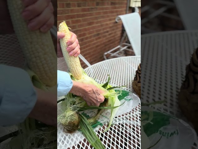 Aw, Shucks Again! Yet More Corn Gripping and Ripping Comprising the Shucking for U.S.A.'s Labor Day!