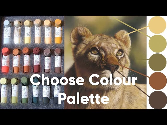 How To Choose a Colour Palette