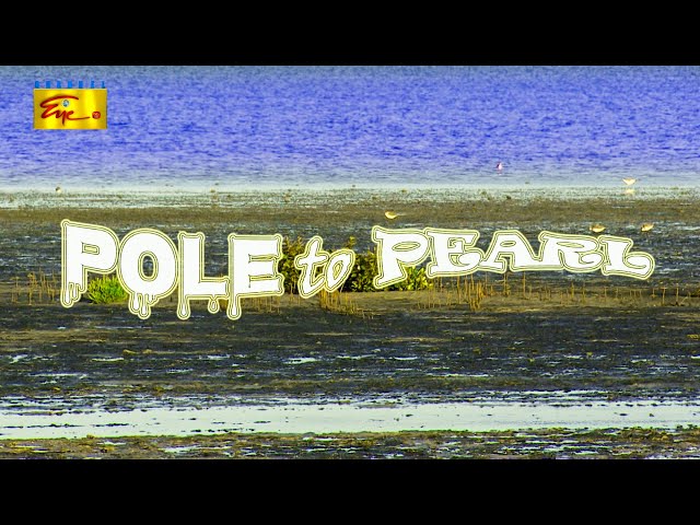 Pole to Pearl - English Documentary | Sri Lanka | ChannelEYE