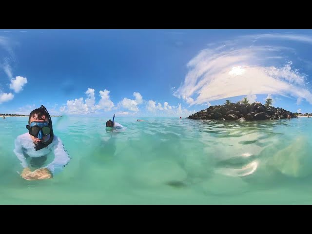 Meta Quest V.R Ocean Cay #3msc Marine Reserve Island Bahamas Experience Like Never Before:360°videos