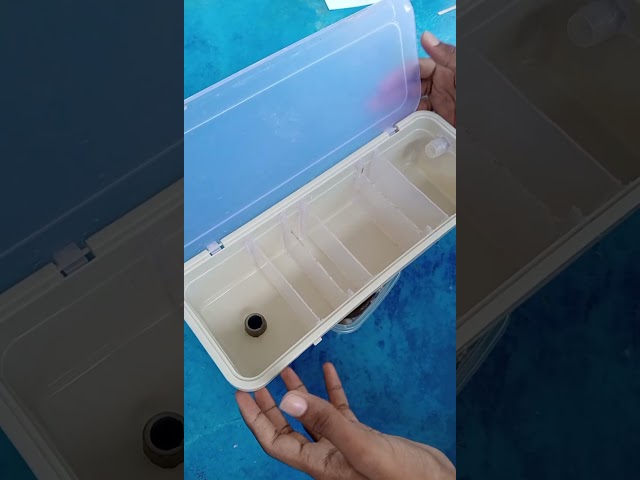 DIY Aquarium Top Filter Box | Cheap & Effective Filtration #trending #shorts #diy #thambicontent