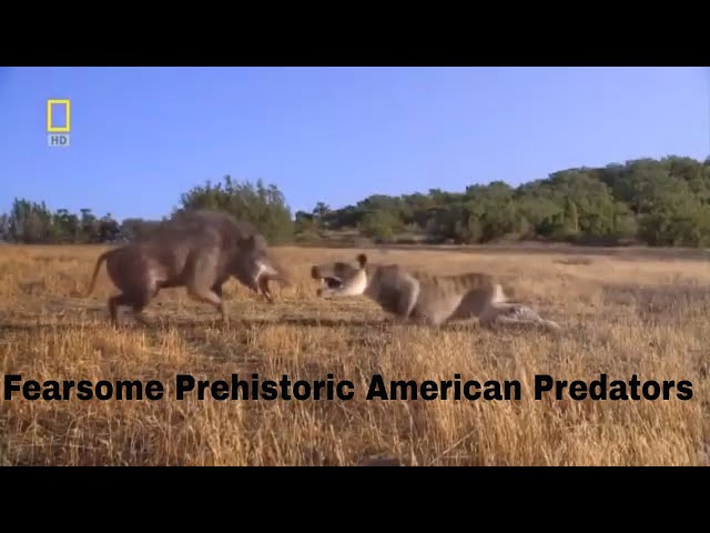 Prehistoric Fearsome North American Predators - National Geographic Documentary