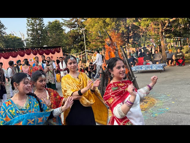 #Lohri Celbrations#DrAmbedkar Institute of Hotel Management Sector 42 Chandigarh#Lohri Celebrations#