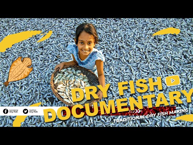 The Traditional Dry Fish Making Process Negombo Sri Lanka | English Documentary | Creative Commons