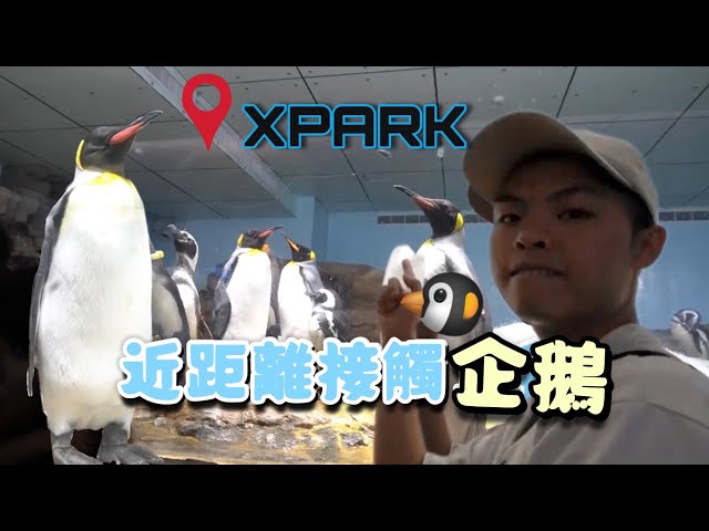 [Johny’s Travel]  台灣最大水族館 Xpark 必打卡 The Best Aquarium in Taiwan