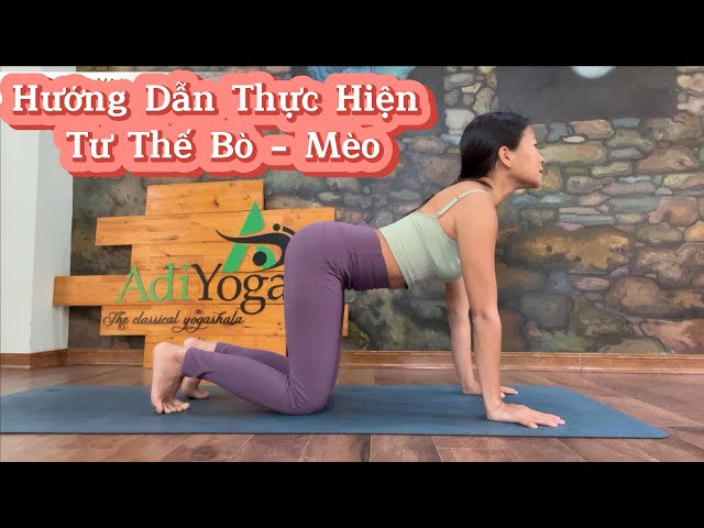 Hướng Dẫn Thực Hiện Tư Thế Bò - Mèo| Tập Yoga Tại Nhà #1