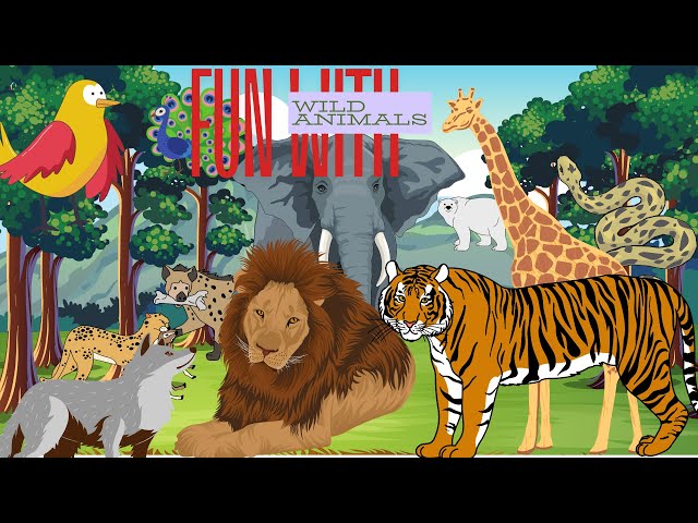 WILD ANIMALS ! 🐯🐼🦁LEARN ABOUT WILD ANIMALS ! KIDS VOCABULARY !ENGLISH EDUCATIONAL VIDEO👶👶😃😃.learning