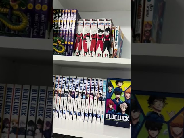 MY UPDATED 2025 MANGA COLLECTION!!!