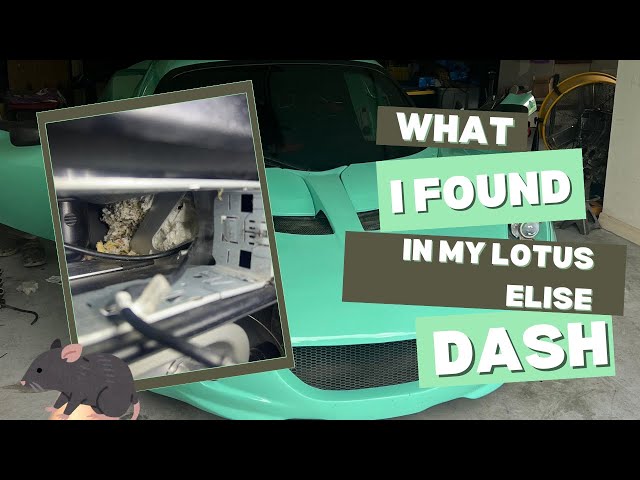 What is in my Lotus Elise Dashboard??