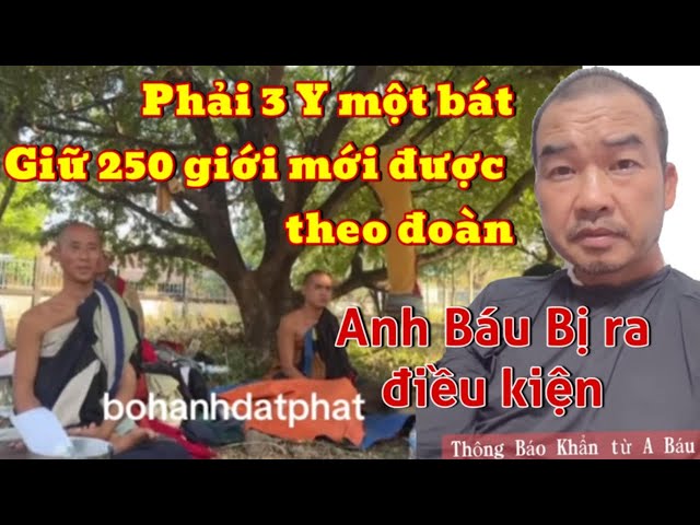 Anh Báu sẽ trở lại mất vị trí, bị ra điều kiện, 3 Y 1 bát, giữ 250 giới