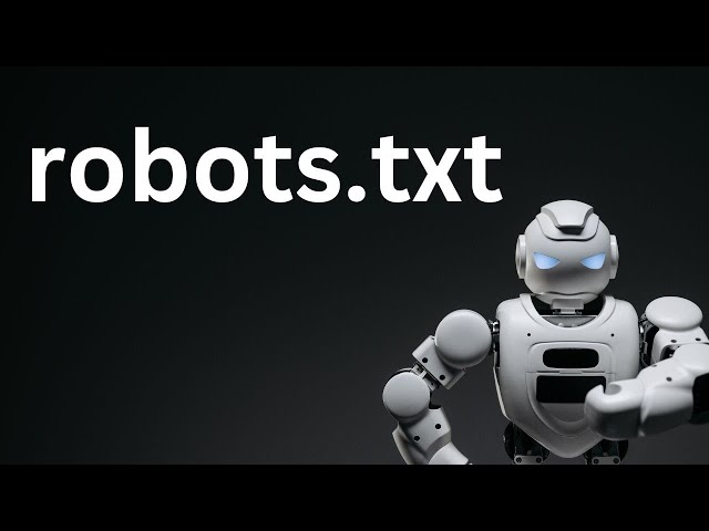 What is robots.txt file in hindi 2025 | robots.txt file kya hai ? | Why do we need robots.txt file ?