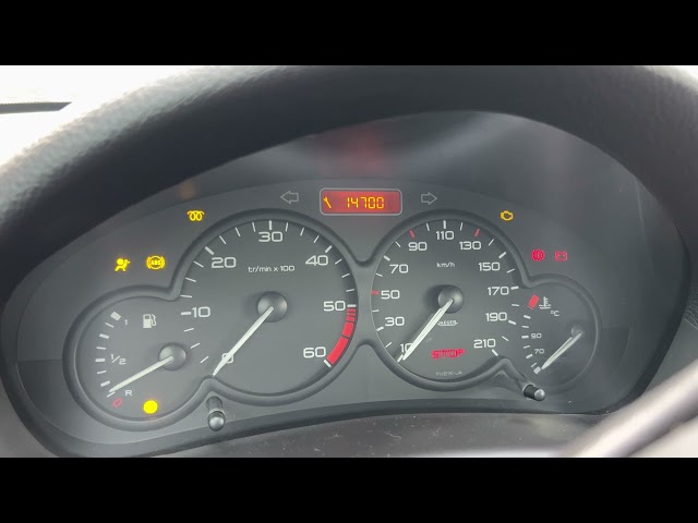 Peugeot 206 1.4 HDI Cold Start -10*C