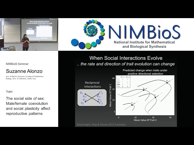 The social side of sex: Male/female coevolution and social plasticity affect reproductive patterns