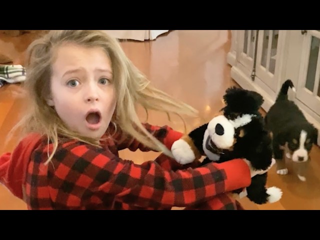 Girl Thought She Was Only Getting Toy Puppy