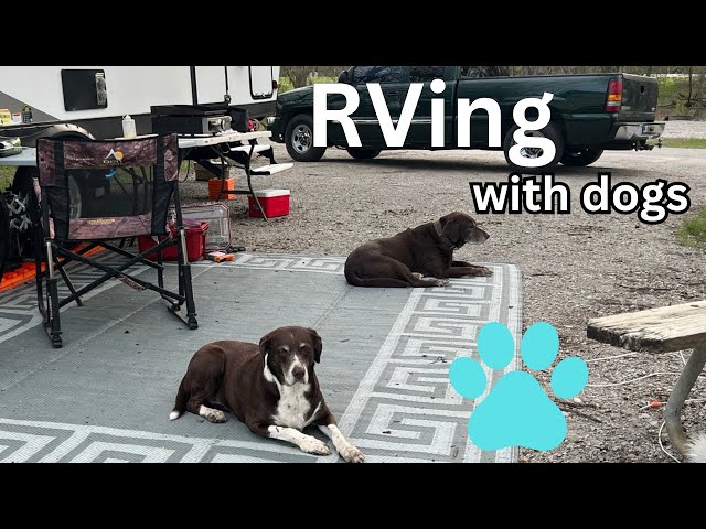 RVing with Dogs Made EASY!