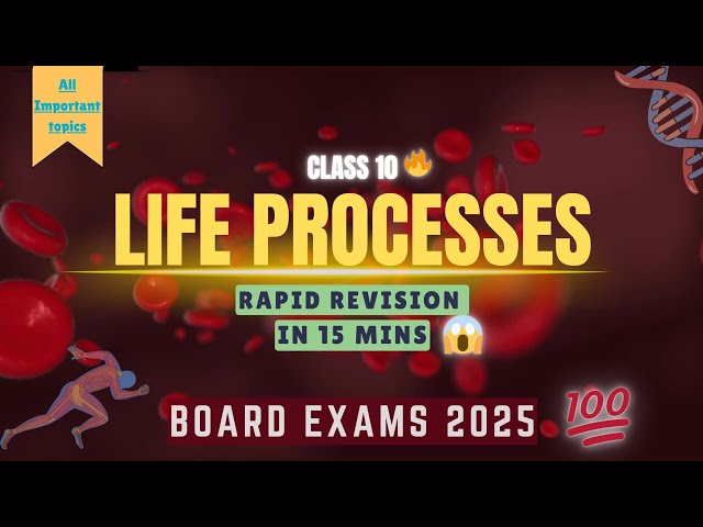 Life Processes Class 10 | One Shot | Rapid Revision 🔥 | NCERT